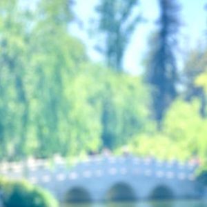 Meet your Posher, Tas